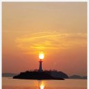 사궁두미 479 이미지