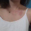 570001 | 인도여행 12일차 오자마자 빡치게하는 마이소르 점등식땜에 봐줬다