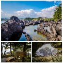 동탄지성로 1L(6->종점) | [제주쌍둥이네] 올레 6코스 정보, 가장 걷기 쉬운 올레길 : Jeju Olle Trail 6 Guide
