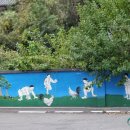 낙서면보건지소 이미지