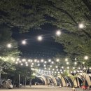 숲속에 머물다 이미지