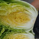 대가주천 이미지