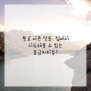 서울사랑니치과의원 이미지