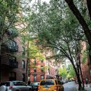 아담 빌리지 이미지