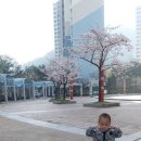 권순완소아과 네이버블로그