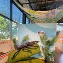 여주곤충박물관 이미지