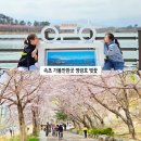 영랑호수윗길 | 속초 여행 가볼만한곳 영랑호 벚꽃 축제 자전거 영랑호수윗길