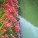 용천사입구 이미지