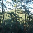 장골마을회관 이미지