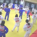 용인대안산유도체육관 이미지