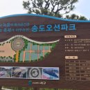 부산오토 이미지