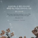 오늘의 '영어성경 사진'(900강) “치유를 가져오는 혀를 사용하세요”(잠언 15장 4절) 이미지