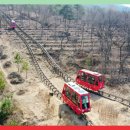 단산마을 | 🚂 국내 여행지 핫플, 문경 단산 모노레일 여행기 ✨