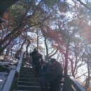 삼청공원