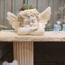 선상서로14길 이미지