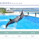 돌고래와펭귄 | 후쿠오카 마린월드 가는법, 돌고래쇼 시간, 마린월드 입장권 예약