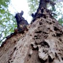 울산산업고등학교(4) 이미지