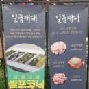 일품대패 두호점 이미지