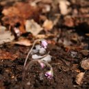 운산 아래 구름 이미지