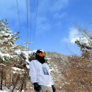 삼화목장 이미지