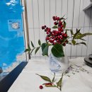 치유요가반 이미지