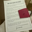 세일정밀 | 임신일기14/21-23주, 정밀초음파, 광양매화🌸, 집밥 일상