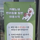 카페노네