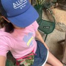 호텔부티앤[HOTEL BUTI&] | 느좋 핑크 동굴 카페, 나트랑 맛집과 짝퉁샵 솔직 후기, 나트랑 쇼핑할 만한 곳 추천, 가성비 네일샵...