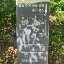 광교호수로418번길 | 수지 광교 산책코스 추천, 정암수목공원에서 서봉숲속공원까지 한낮에도 걷기 좋은 힐링코스