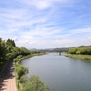 대숲여행 이미지