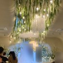 팔레드시즈 | [부산-해운대] 부산 웨딩 하객 후기 " 팔레드시즈 W웨딩홀 "