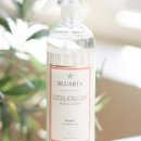 블루 아리아 이미지