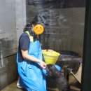 오아시스토토