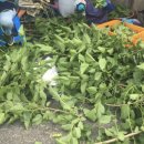 홍성떡방앗간 이미지