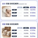 왜 꼭 비비엔다여야하나요! 냉감패드 속지 마세요!!