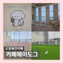 헤이도그 이미지