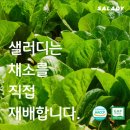 샐러디천안 이미지