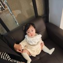 동탄 수원 성장앨범 아트롤스튜디오 200일촬영 후기 (공구할인/모집) +아기모델된 우리딸