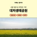 낙동강관리본부 대저생태공원 1 이미지