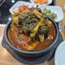 머메이드시티(주) 이미지