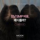 원정교역 | 강남 SMP 비용, 왜 다를까? 가격 결정 3가지 기준 🔍