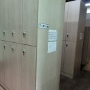 다일락스포렉스 이미지