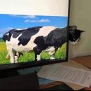 산지수산 이미지