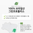 그린F.S 네이버블로그