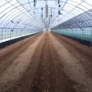 용성농약사 이미지