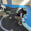 감일유치원 이미지