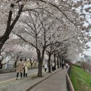 안양천뷰 이미지