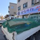 낙산 바다 섭국 | 낙산바다섭국 내돈내산 후기