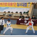 화정태권도 이미지