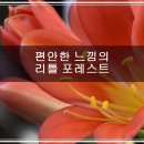 은숙농장 | 편안한 느낌의 리틀 포레스트